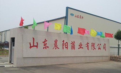 Shandong Chenyang Mushroom Co., Ltd. Edible Mushroom Refrigeration and Preservation Warehouse